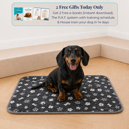 Reusable Pee Pad