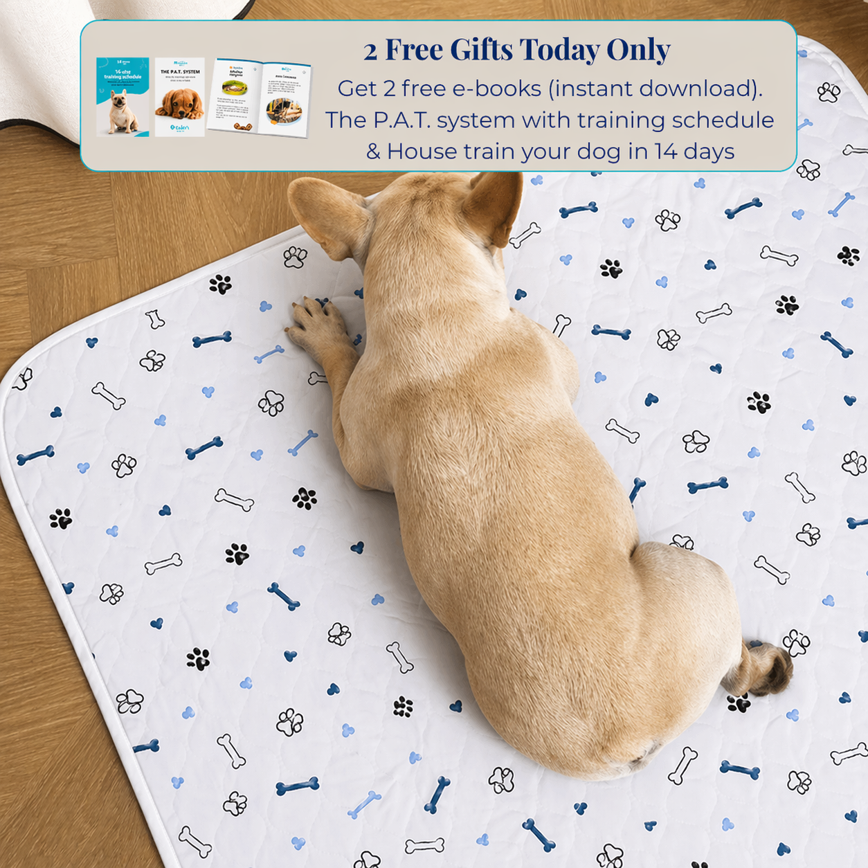 Reusable Pee Pad