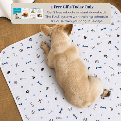Reusable Pee Pad