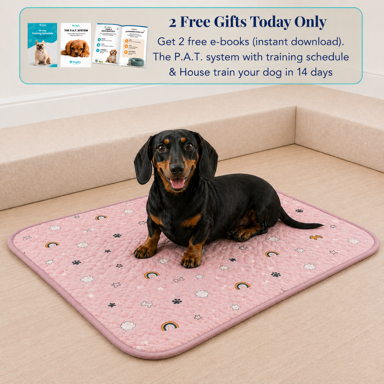Reusable Pee Pad
