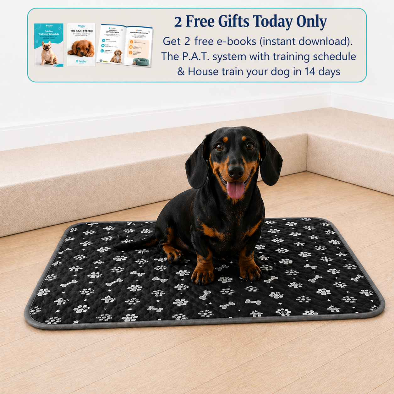 Reusable Pee Pad