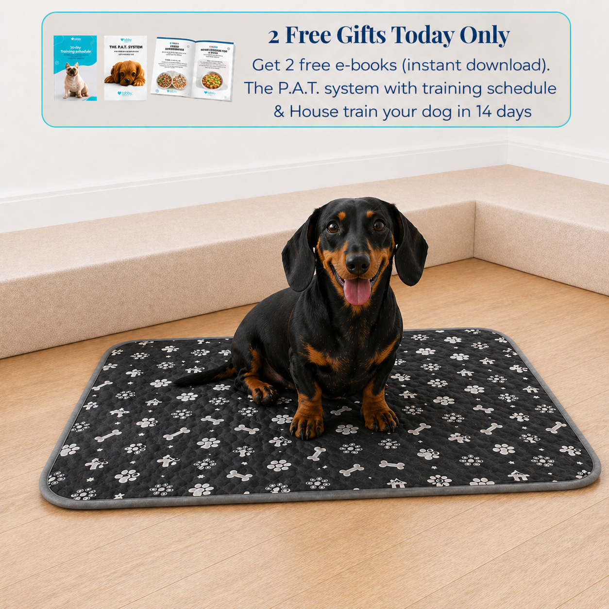 Reusable Pee Pad