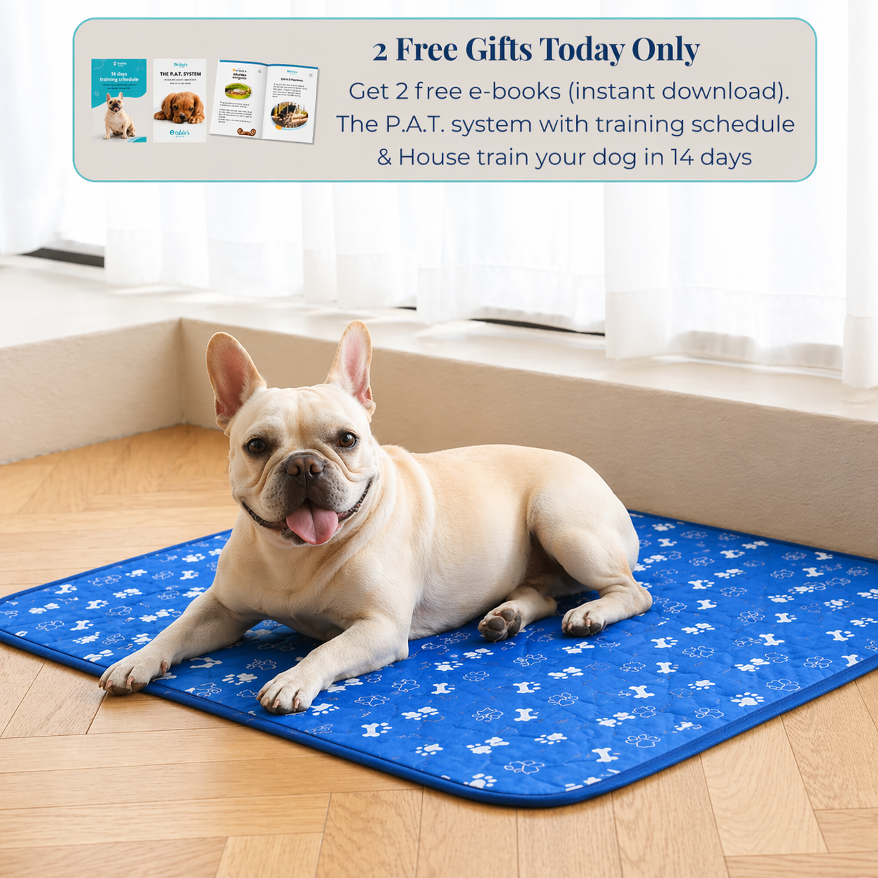 Reusable Pee Pad