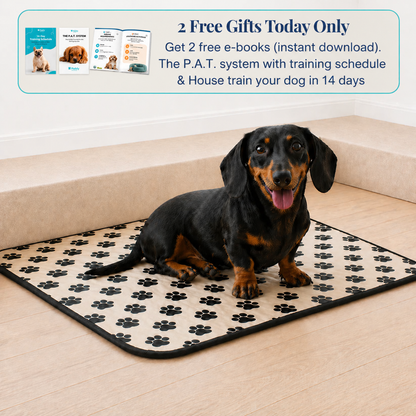 Reusable Pee Pad