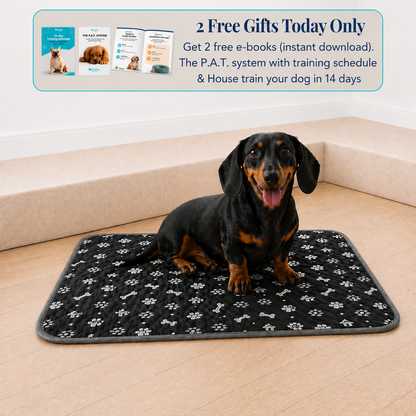 Reusable Pee Pad