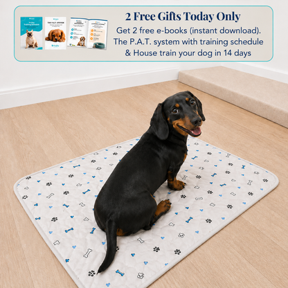 Reusable Pee Pad