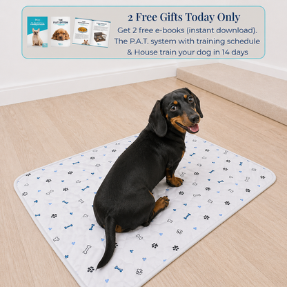 Reusable Pee Pad