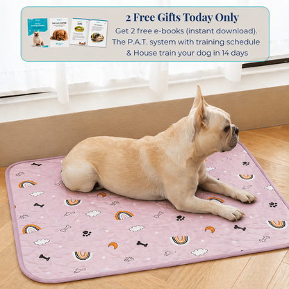 Reusable Pee Pad