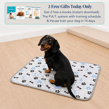 Reusable Pee Pad