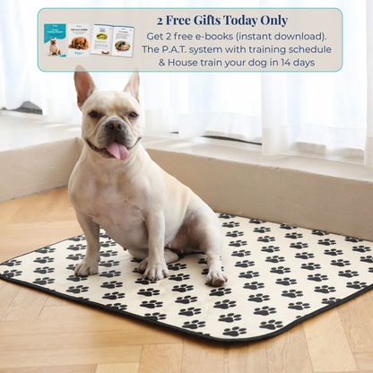 Reusable Pee Pad