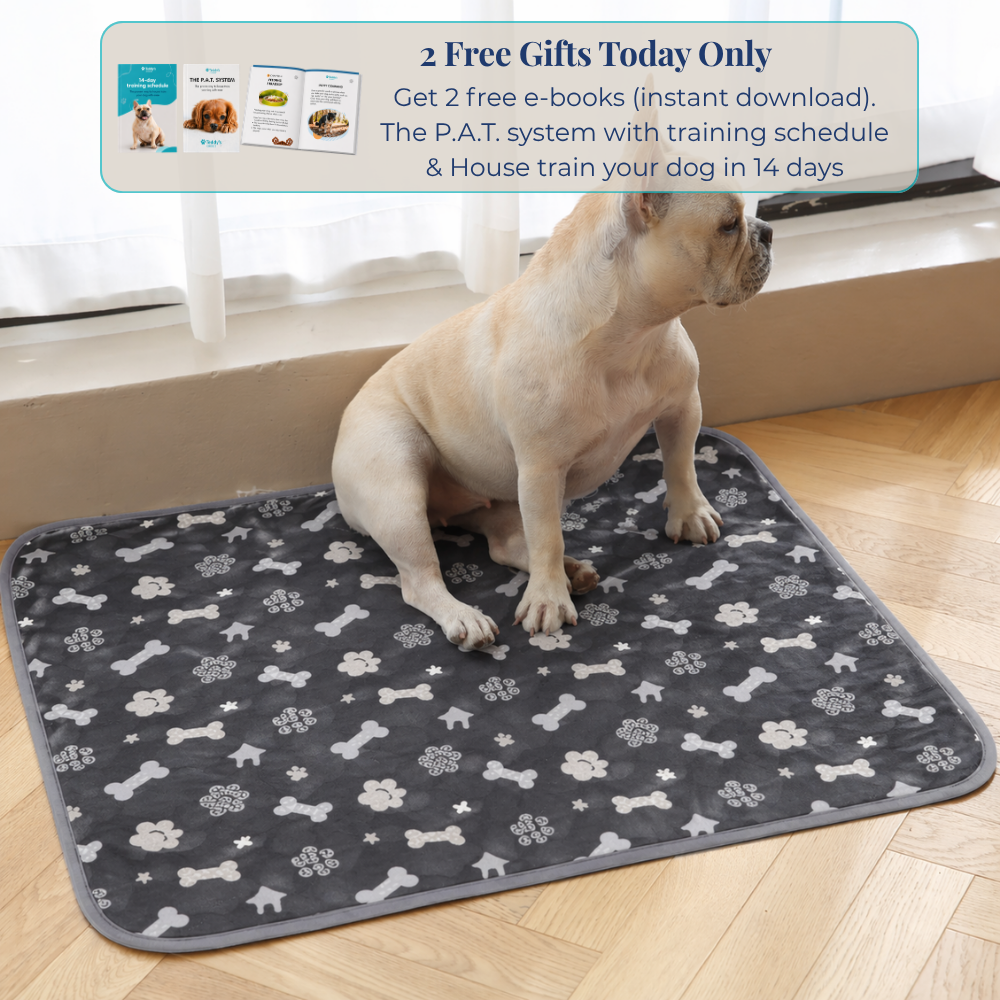 Reusable Pee Pad