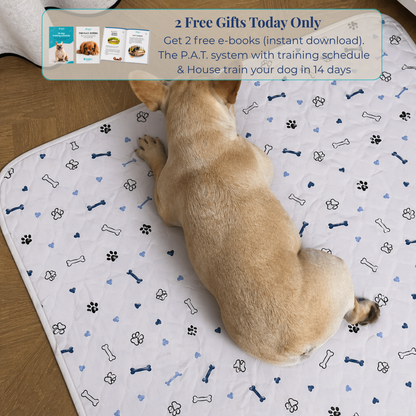 Reusable Pee Pad