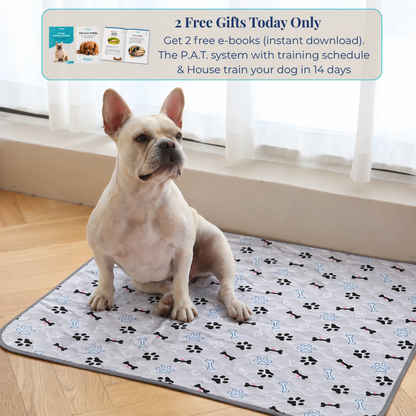 Reusable Pee Pad