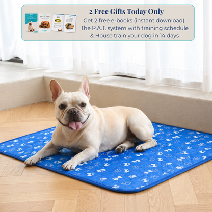 Reusable Pee Pad