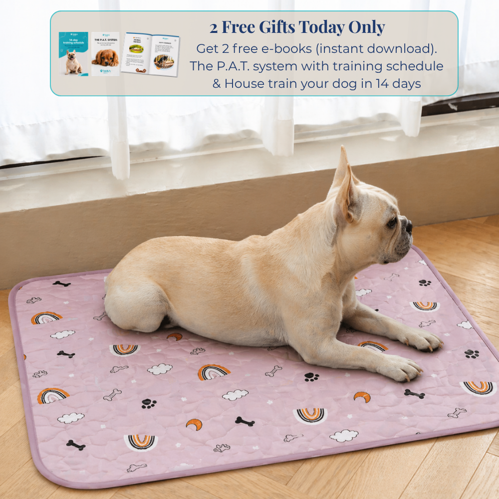 Reusable Pee Pad