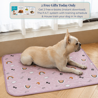 Reusable Pee Pad