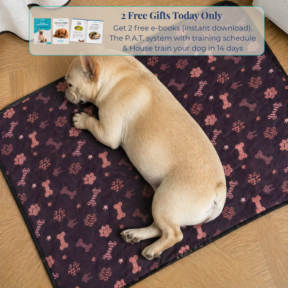 Reusable Pee Pad