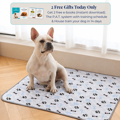 Reusable Pee Pad