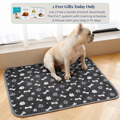 Reusable Pee Pad