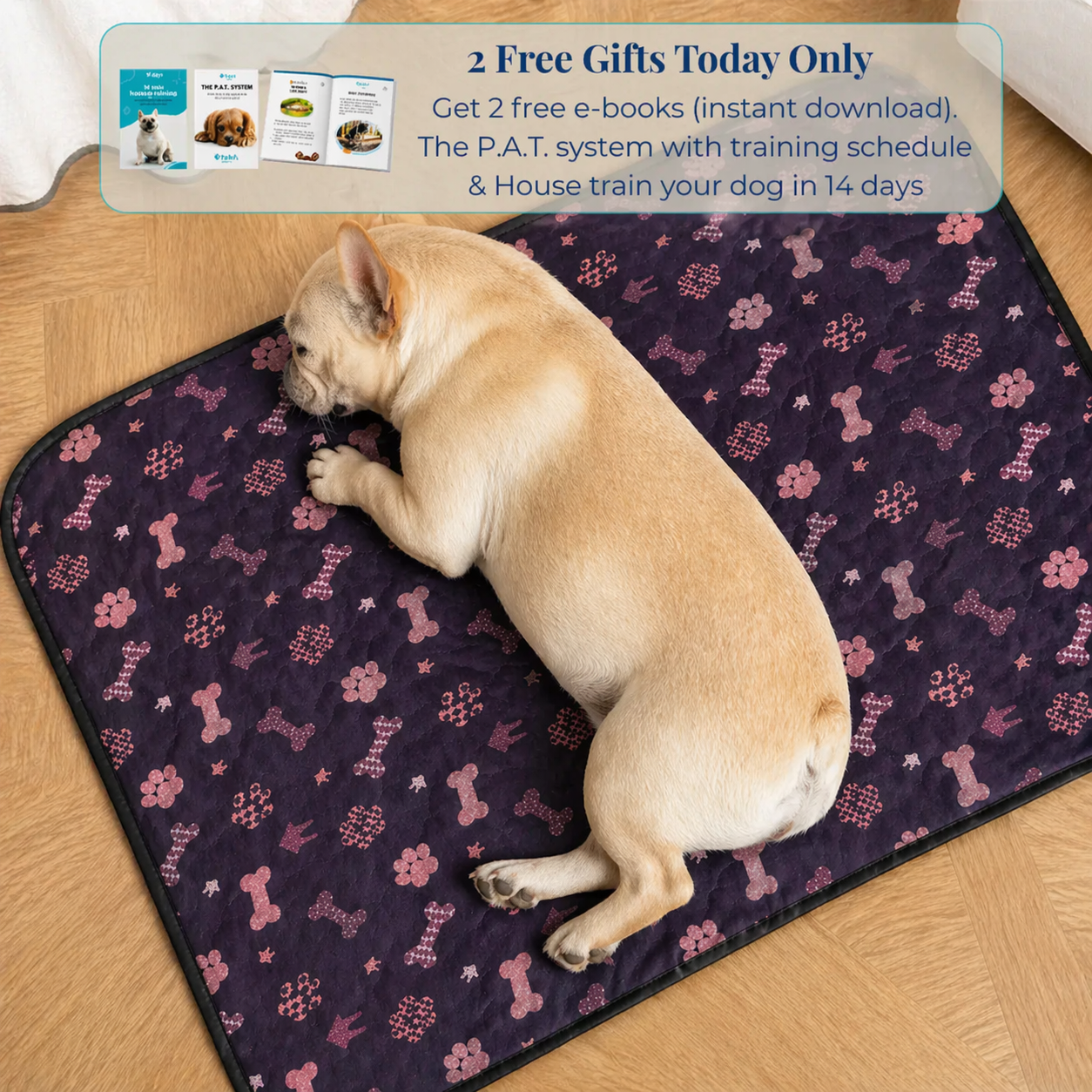 Reusable Pee Pad