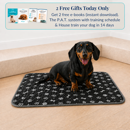 Reusable Pee Pad