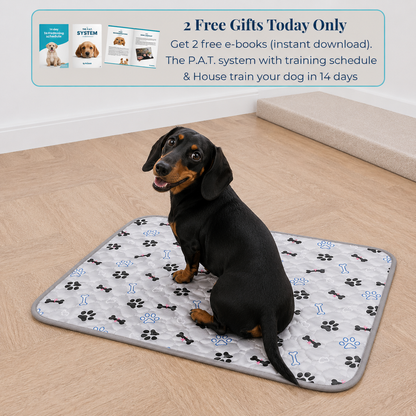 Reusable Pee Pad