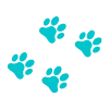 <strong>Offers Thorough Paw Cleaning</strong>